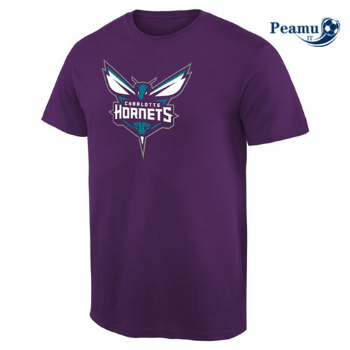 Peamu - Maillot foot Charlotte Hornets