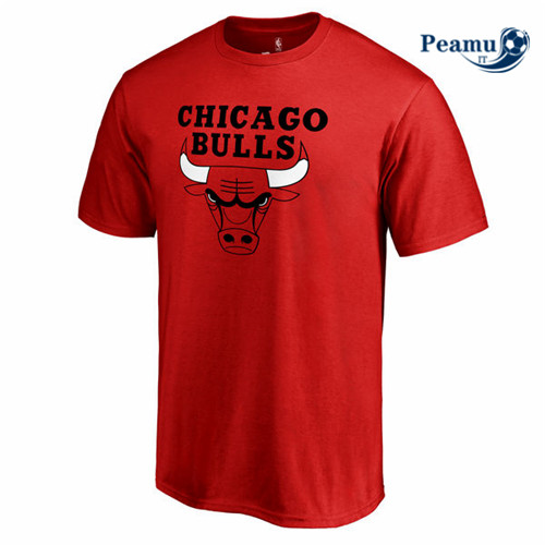 Peamu - Maillot foot Chicago Bulls