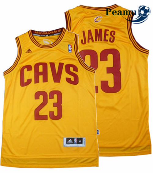 Peamu - LeBron James, Cleveland Cavaliers - Classic Alternate