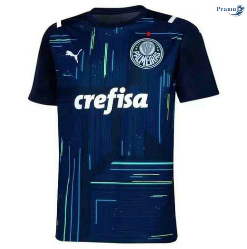Peamu - Maillot foot Palmeiras Bleu Gardien de but 2021-2022