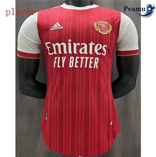Peamu - Maillot foot Arsenal Player Version Special edition 2022-2023