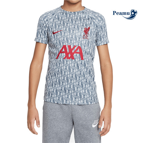 Peamu - Maillot foot Liverpool Pre-Match Top 2022-2023 p3182