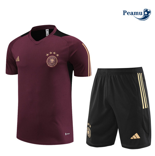 Peamu - Maillot foot Kit Entrainement Allemagne + Shorts Violet 2023/24 grossiste