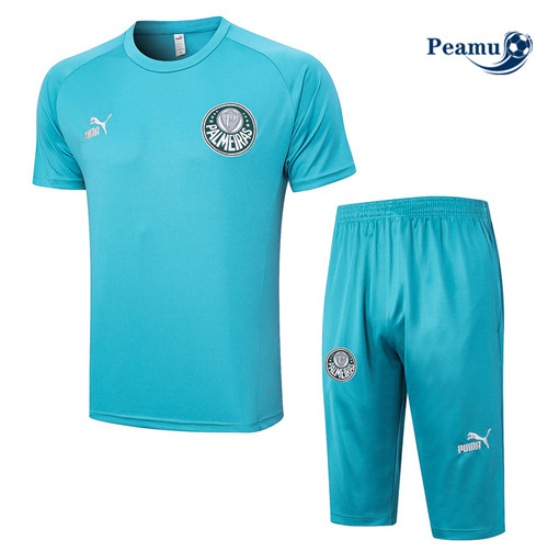 Peamu - Maillot foot Kit Entrainement Palmeiras + Shorts 3/4 + Pantalon Bleu 2023/24 grossiste