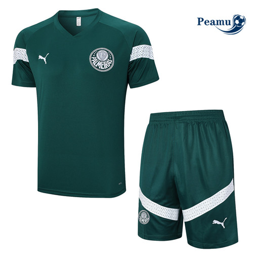 Peamu - Maillot foot Kit Entrainement Palmeiras + Shorts Vert 2023/24 Officiel