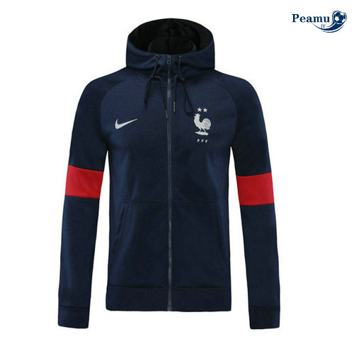 Veste foot France hoodie 2020-2021